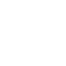 Facial Surgery Icon